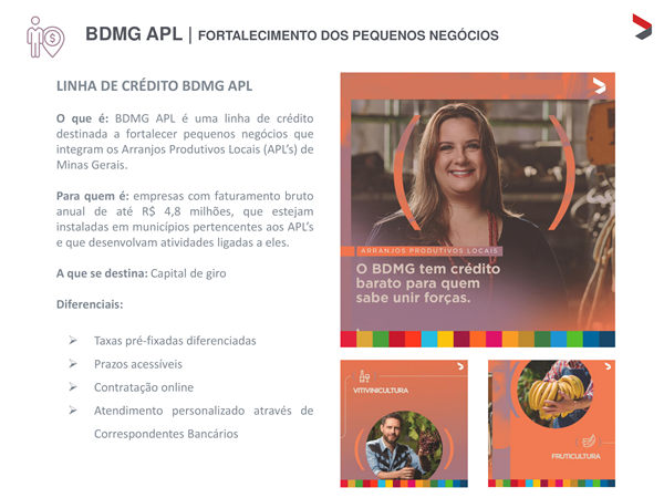 Apresentacao BDMG APL 2022 06