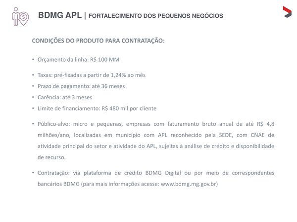 Apresentacao BDMG APL 2022 08